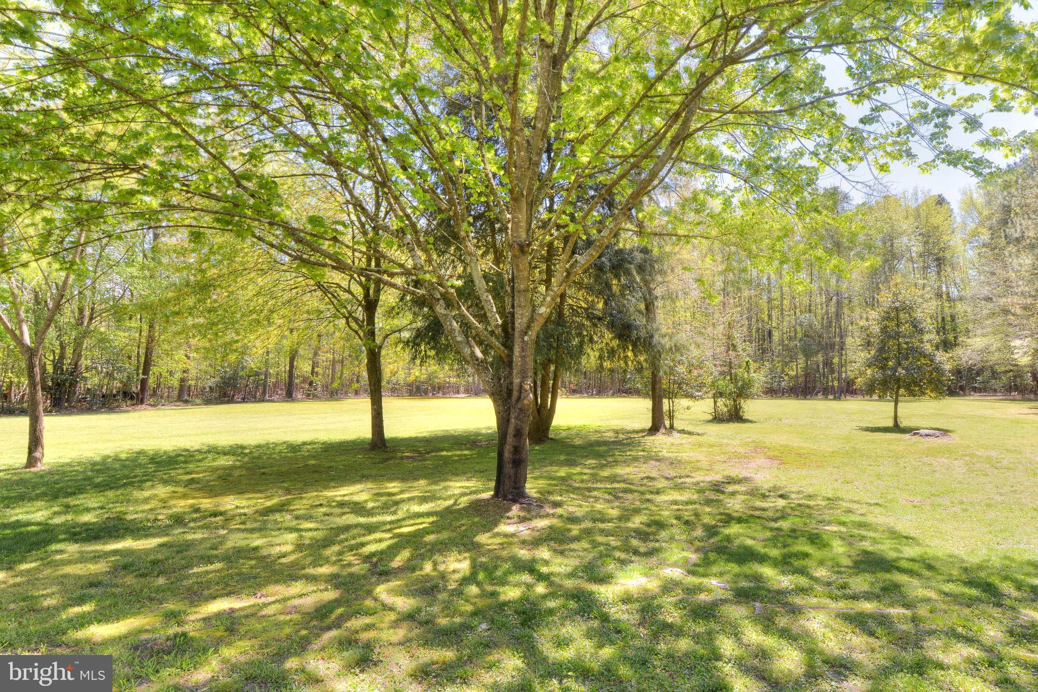 28786 Stockley Road Milton, DE 19968 - Photo 32 of 33 Gallery Image 32
