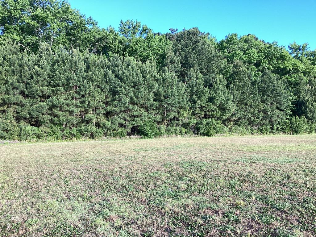 Lot 4 Seaside Road, Unit 4 Cape Charles, VA 23310 - Photo 21 of 31