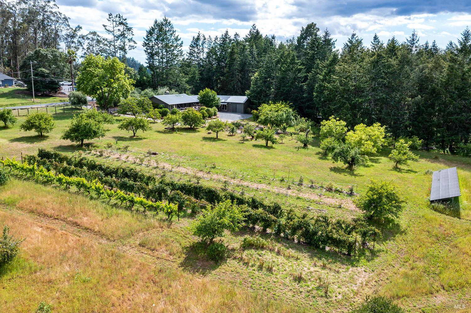 2630 Burnside Road Sebastopol, CA 95472 - Photo 71 of 81