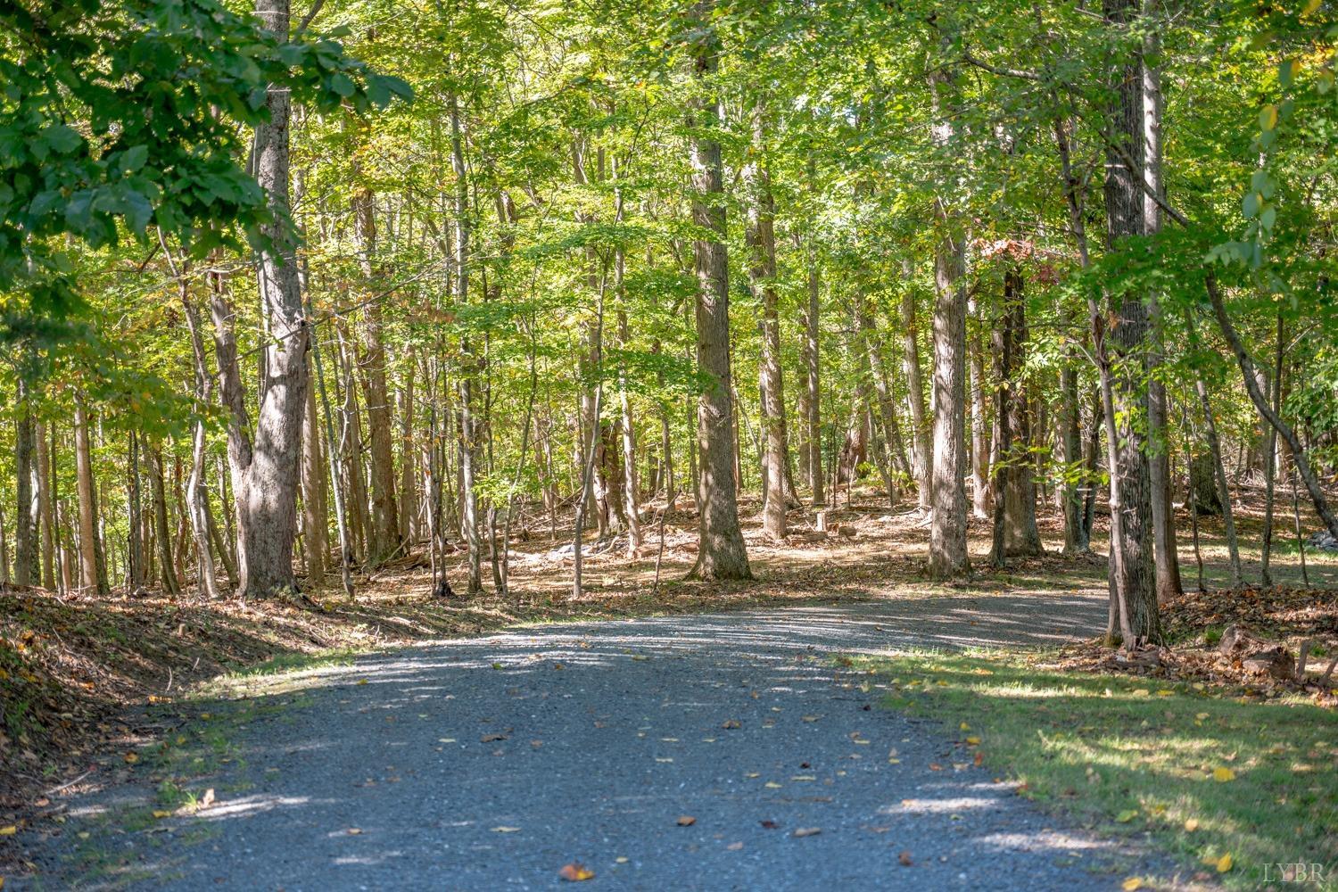 7073 Coffee Road Forest, VA 24551 - Photo 7 of 77 Gallery Image 7