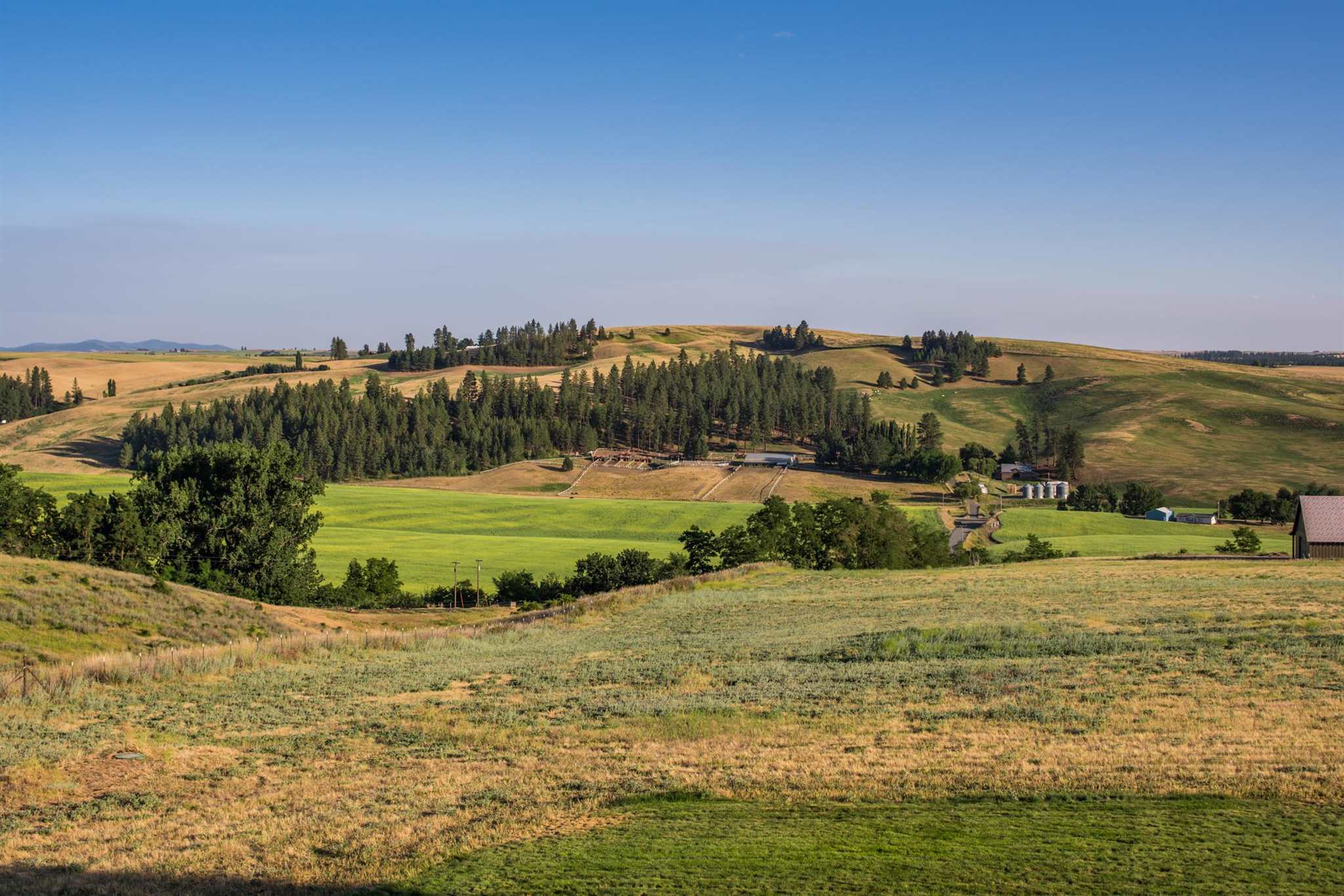 5621 East Gibbs Road Spokane, WA 99223 - Photo 40 of 47