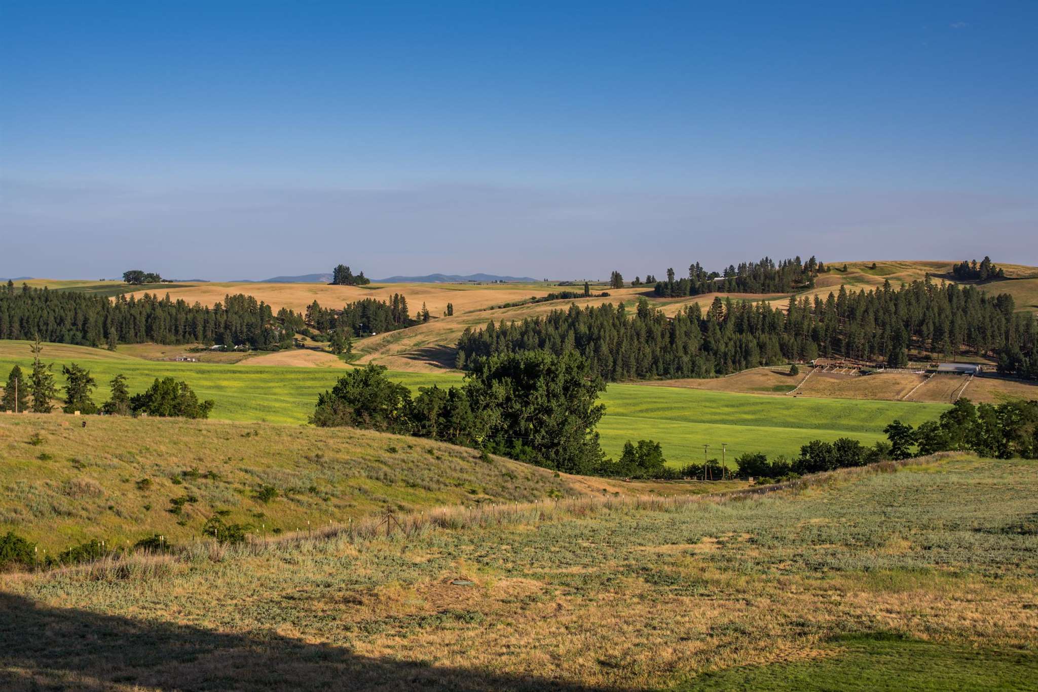 5621 East Gibbs Road Spokane, WA 99223 - Photo 43 of 47