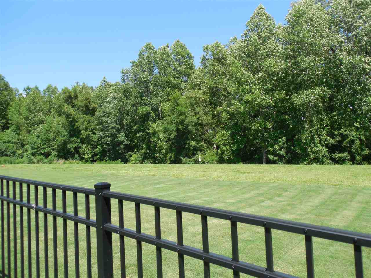 345 Liberty Star Road Wendell, NC 27591 - Photo 28 of 30 The lot extends beyond the wrought iron fence. Open Space
