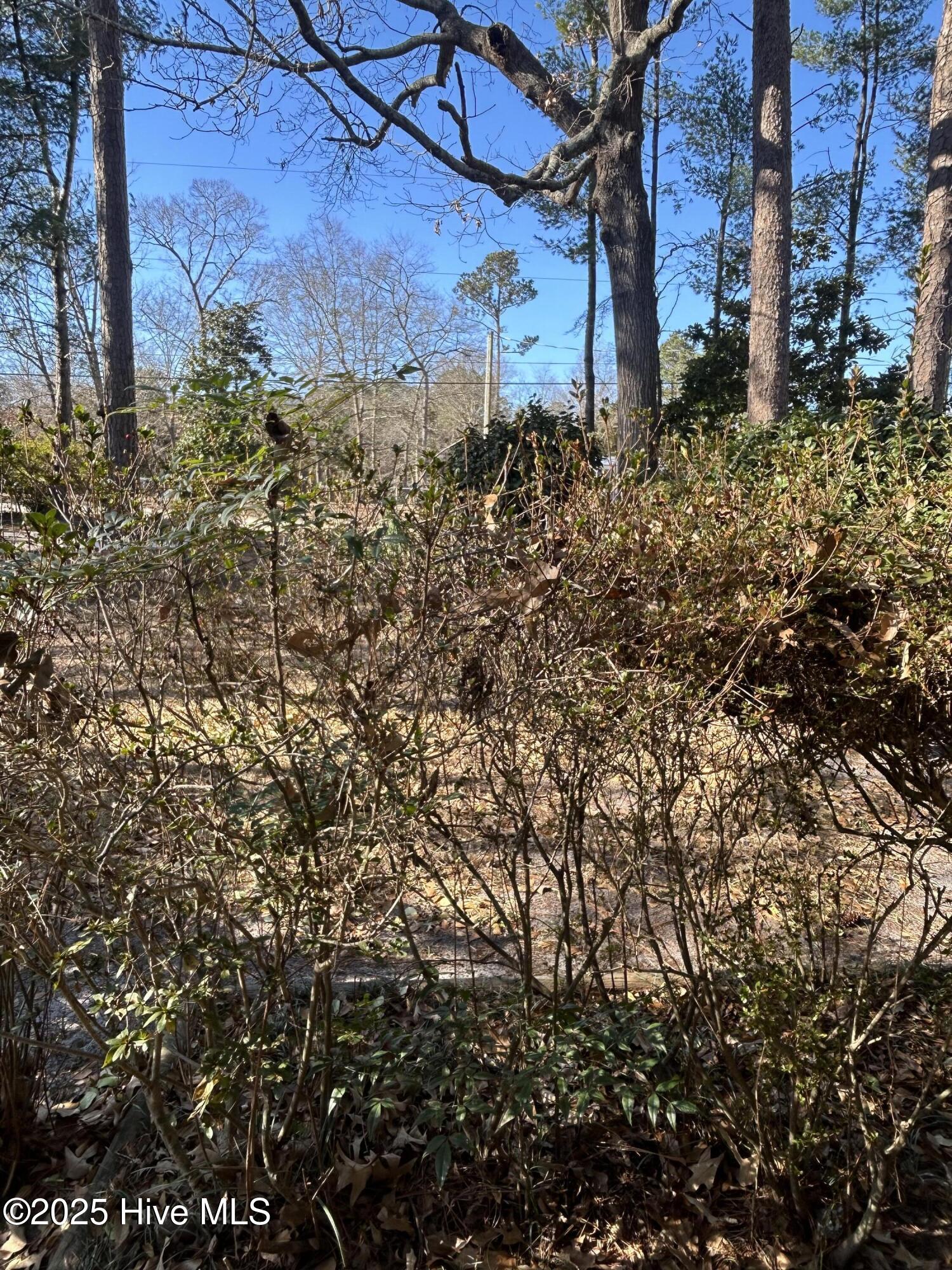 206 Waldrop Road Dudley, NC 28333 - Photo 48 of 55 IMG_0618