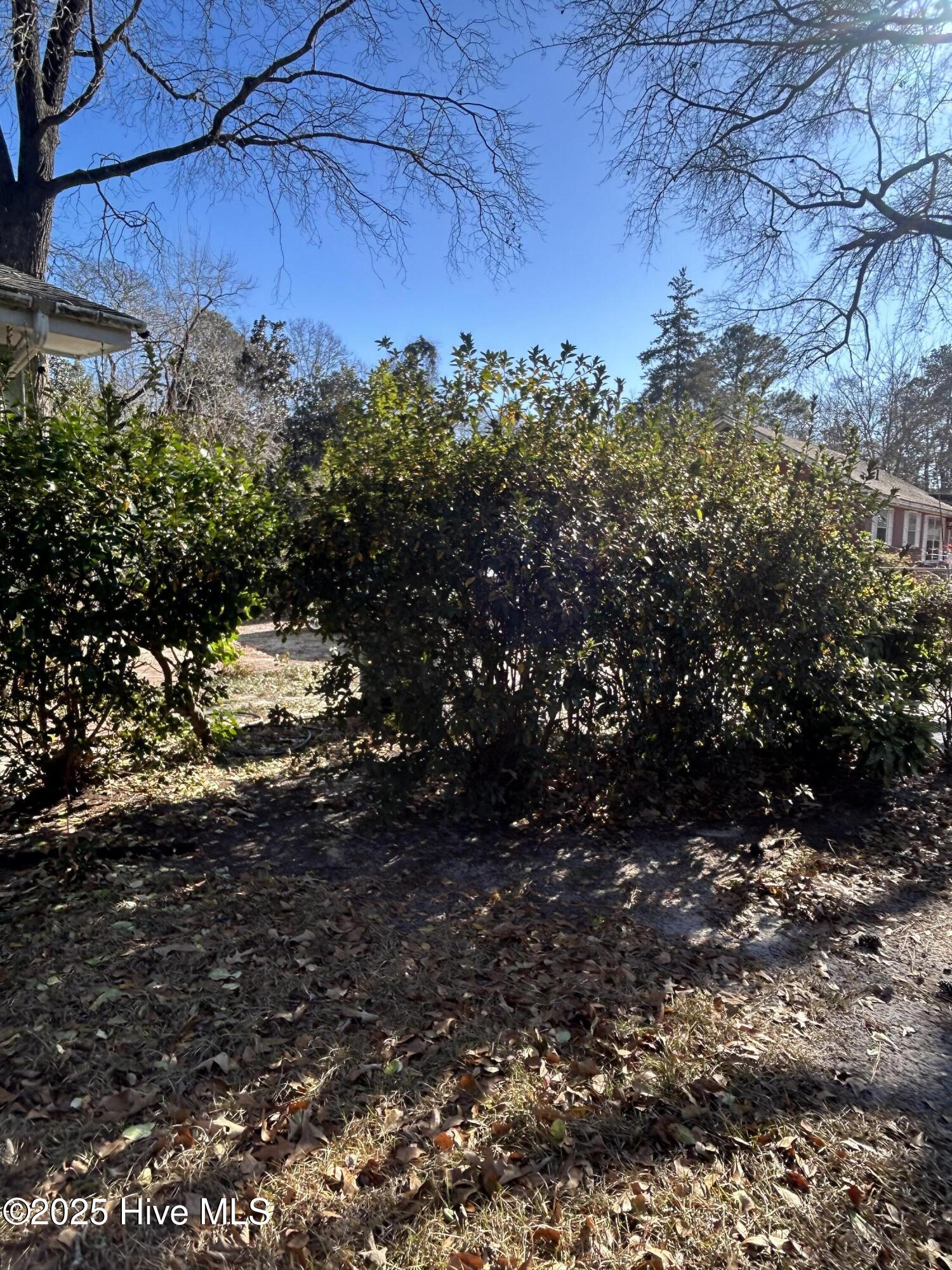 206 Waldrop Road Dudley, NC 28333 - Photo 50 of 55 IMG_0620