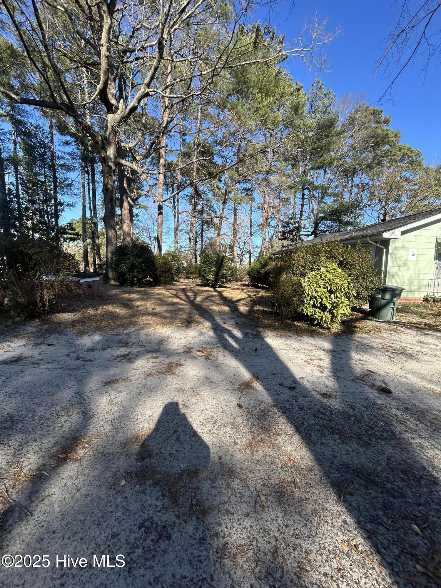 206 Waldrop Road Dudley, NC 28333 - Photo 52 of 55 IMG_0621