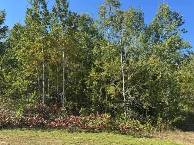 $24,900 | Tbd 377th Street, Perham, MN 56573