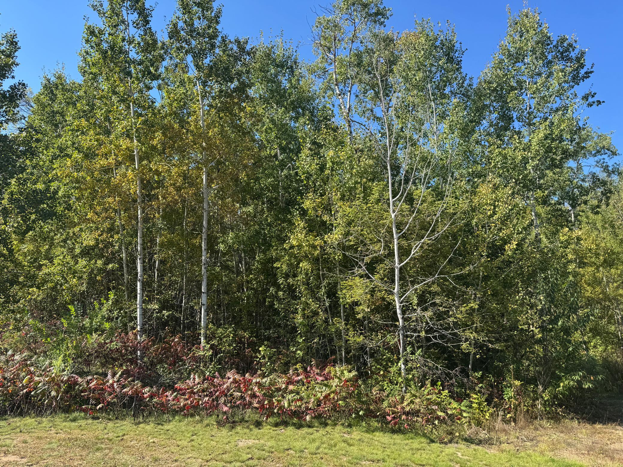 Tbd 377th Street Perham, MN 56573 - Photo 7 of 10