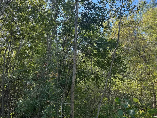 $24,900 | Tbd 377th Street, Perham, MN 56573