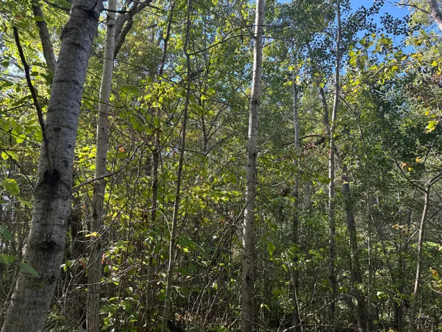 $24,900 | Tbd 377th Street, Perham, MN 56573