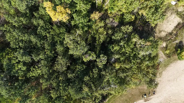 $24,900 | Tbd 377th Street, Perham, MN 56573