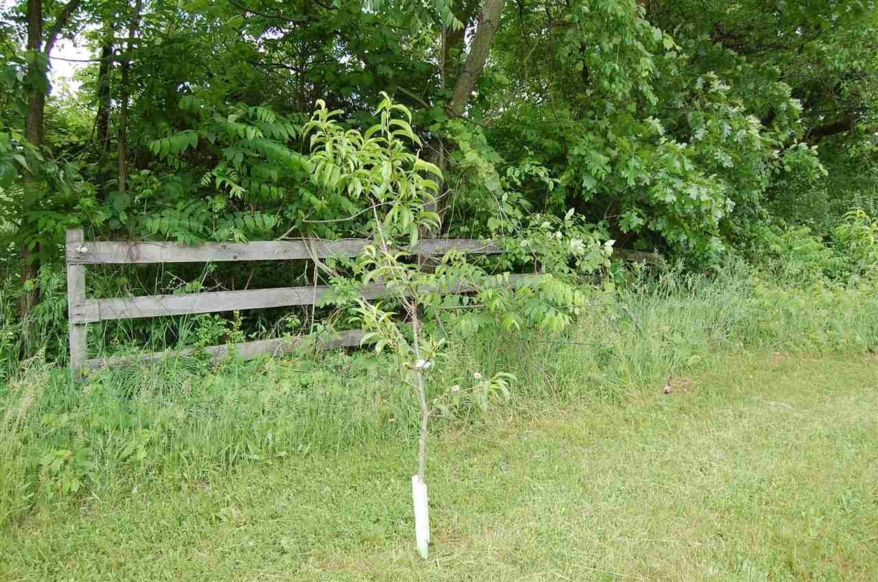 10839 Edison Road Osceola, IN 46561 - Photo 3 of 14 Gallery Image 3