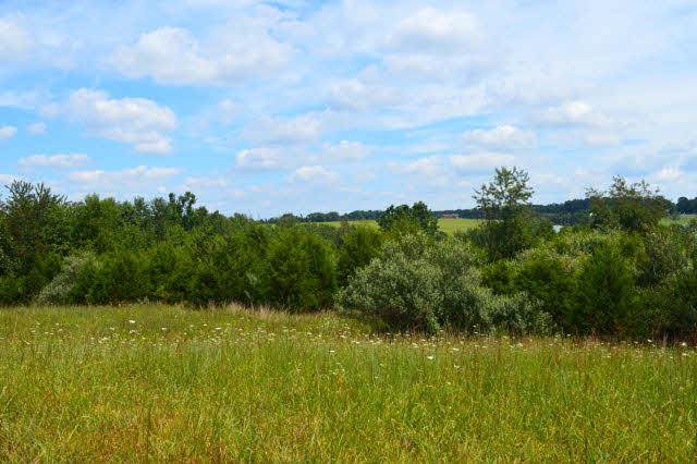 770 Lebanon Church Road Mount Sidney, VA 24467 - Photo 29 of 42 Gallery Image 29