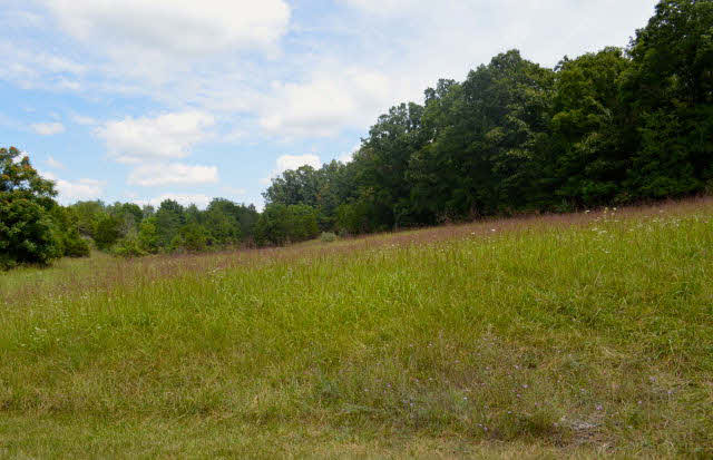 770 Lebanon Church Road Mount Sidney, VA 24467 - Photo 37 of 42 Gallery Image 37