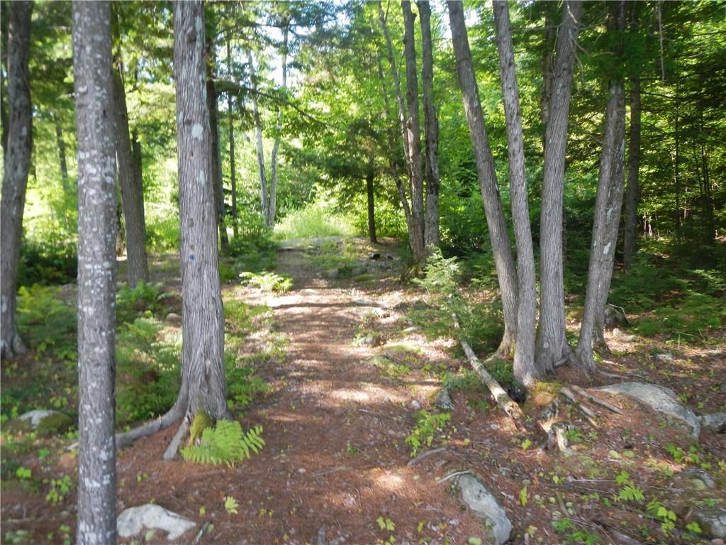 Tbd Tbd Eskutassis & Spruce Point Road Lowell, ME 04493 - Photo 19 of 23 Photo