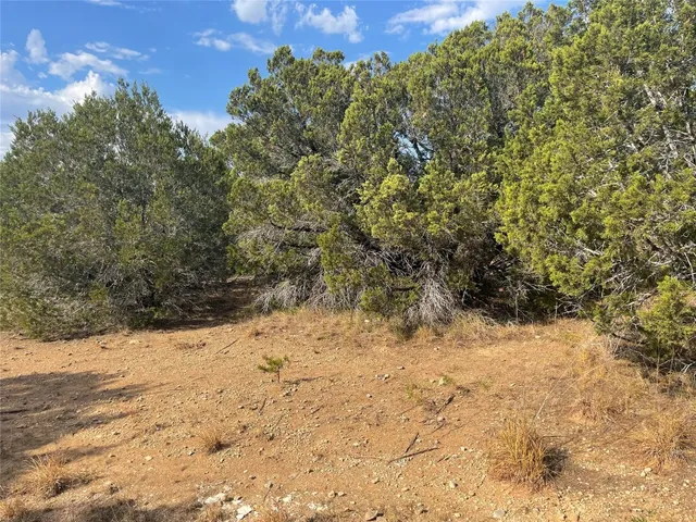a view of a yard covered in snow