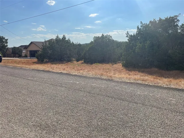 a view of a dry yard