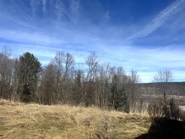 $89,900 | 5905 Morton Hill Road, Hornellsville, NY 14843