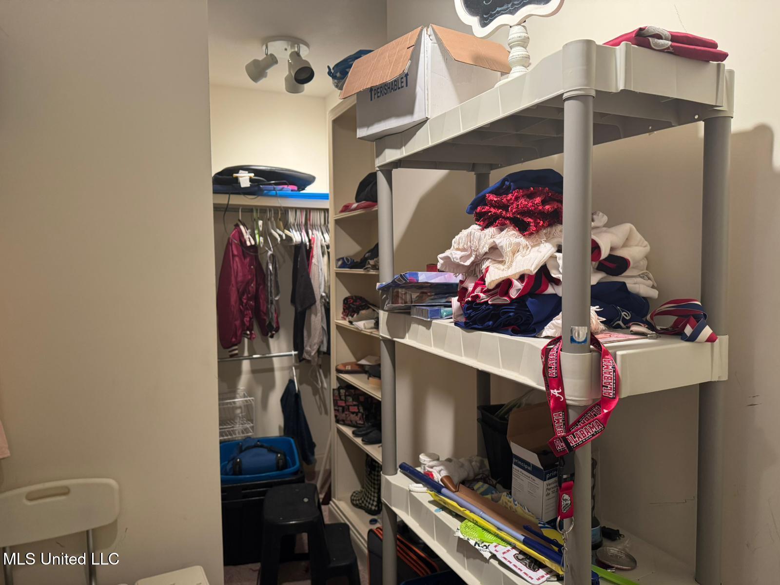 730 Henry Byrd Road Florence, MS 39073 - Photo 24 of 25 Closet