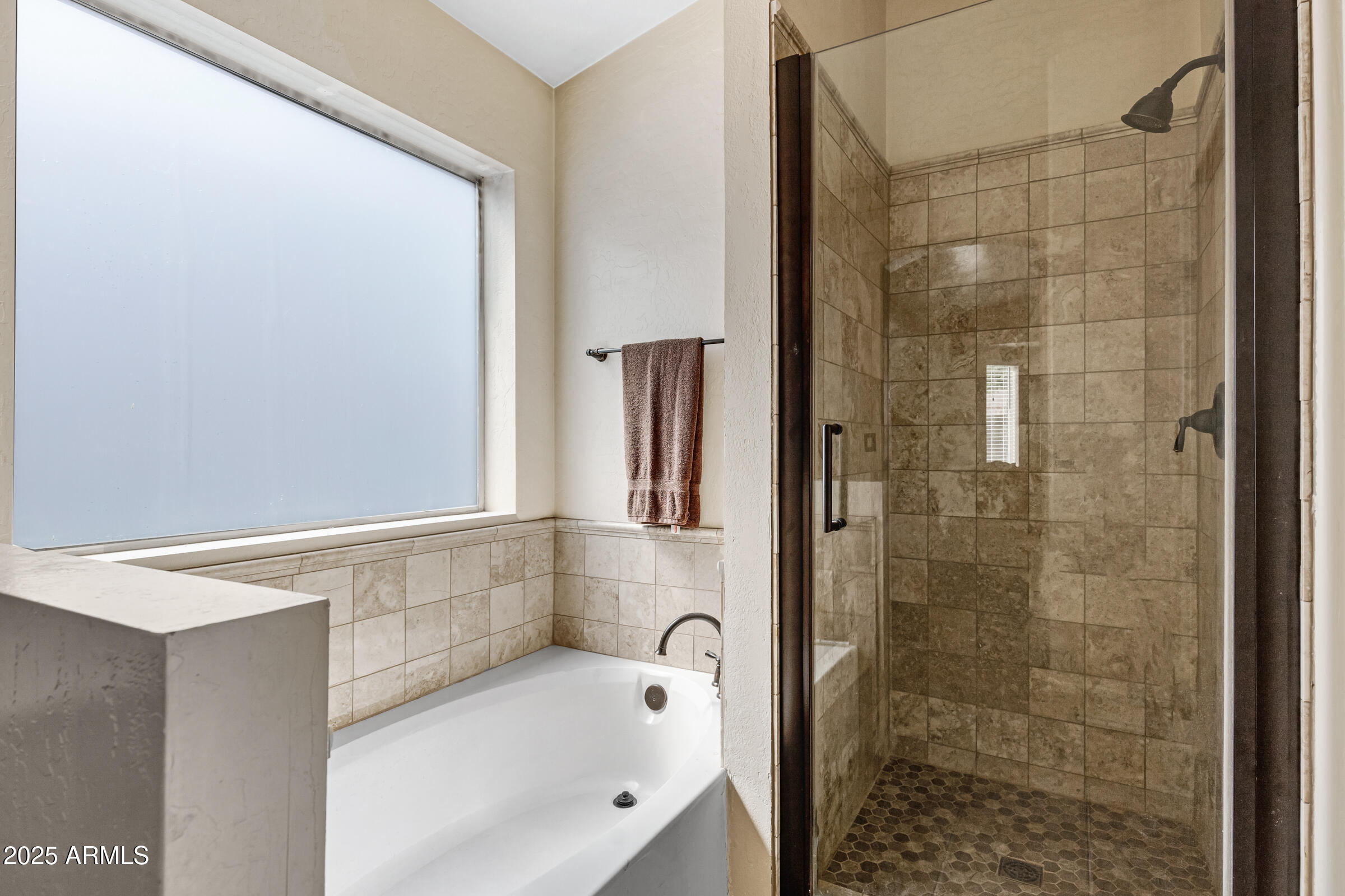 3711 East Long Lake Road Phoenix, AZ 85048 - Photo 18 of 27 Master Bathroom