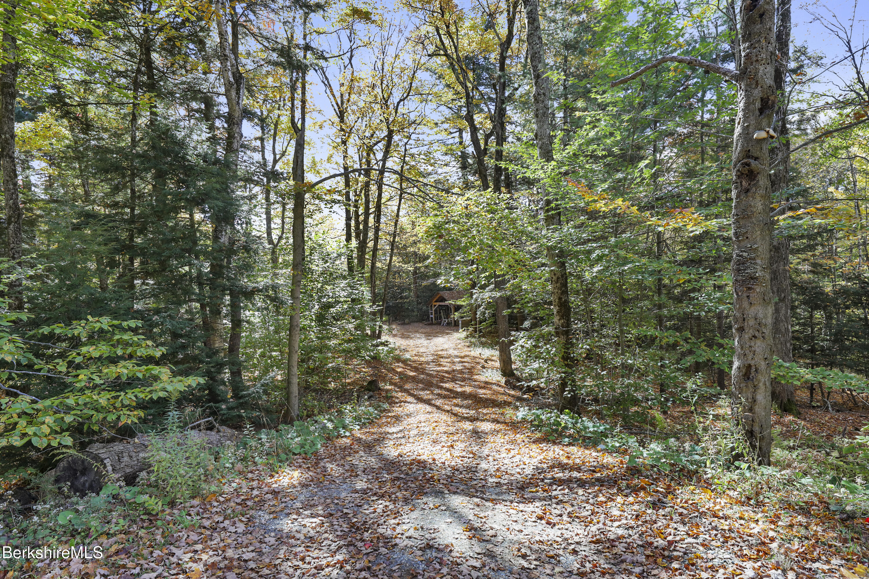 316 Chapel Road Savoy, MA 01256 - Photo 32 of 36 Driveway to House