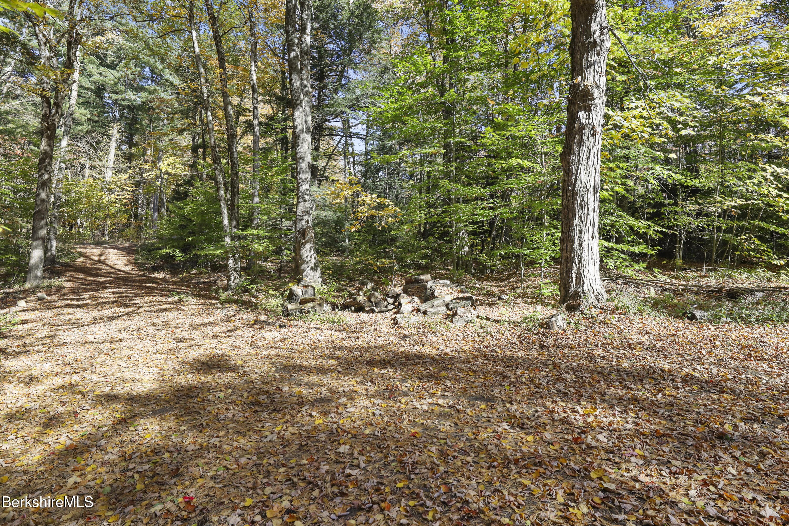 316 Chapel Road Savoy, MA 01256 - Photo 33 of 36 Front Yard Area & Driveway