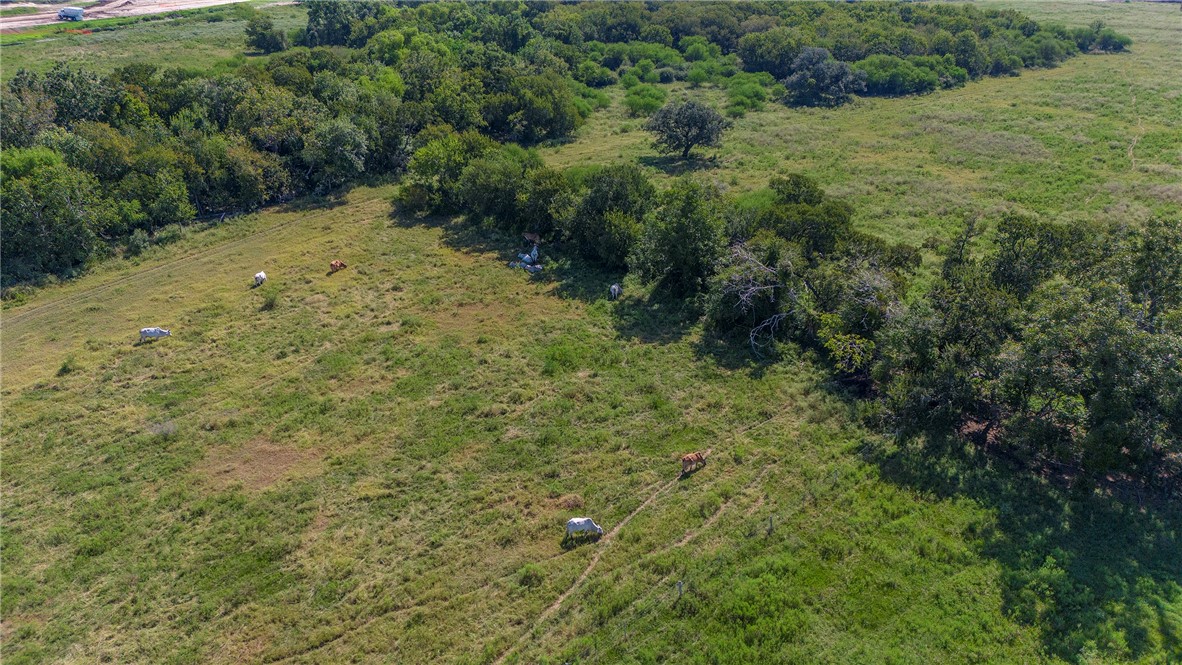0 Black Bayou Road Bloomington, TX 77951 - Photo 15 of 39 a view of a yard with plants and a bench