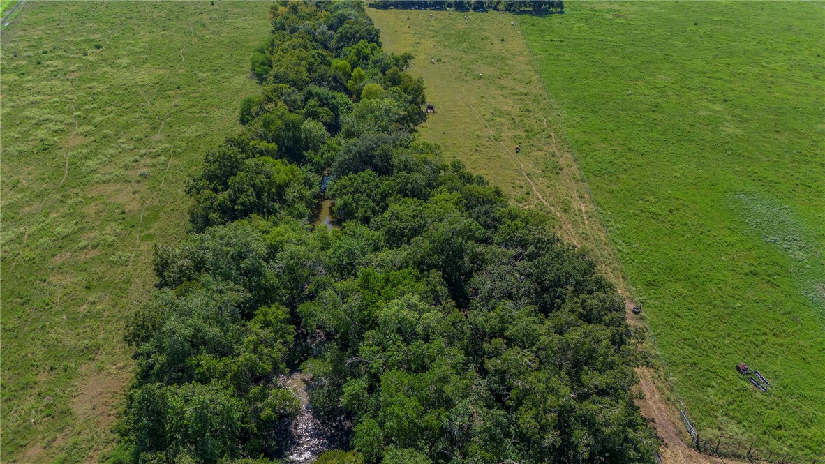 0 Black Bayou Road Bloomington, TX 77951 - Photo 19 of 39 a view of a big yard with plants and large trees