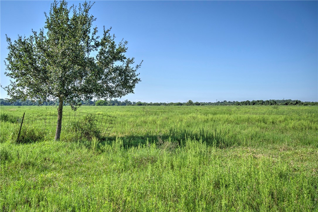 0 Black Bayou Road Bloomington, TX 77951 - Photo 26 of 39 a view of a lush green space