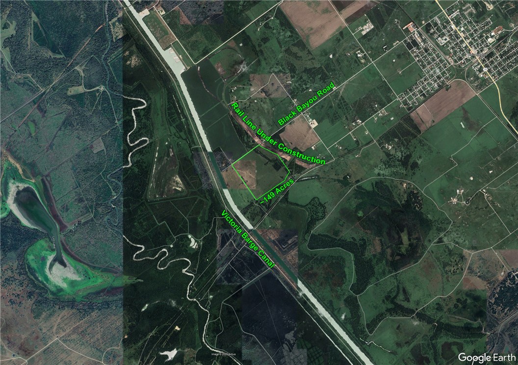 0 Black Bayou Road Bloomington, TX 77951 - Photo 36 of 39 a close up of a plant in a garden