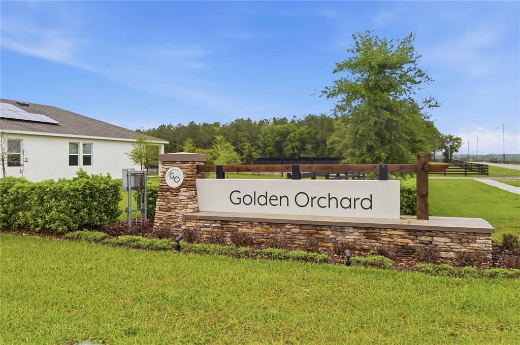 4178 Conjunction Way Apopka, FL 32712 - Photo 29 of 33