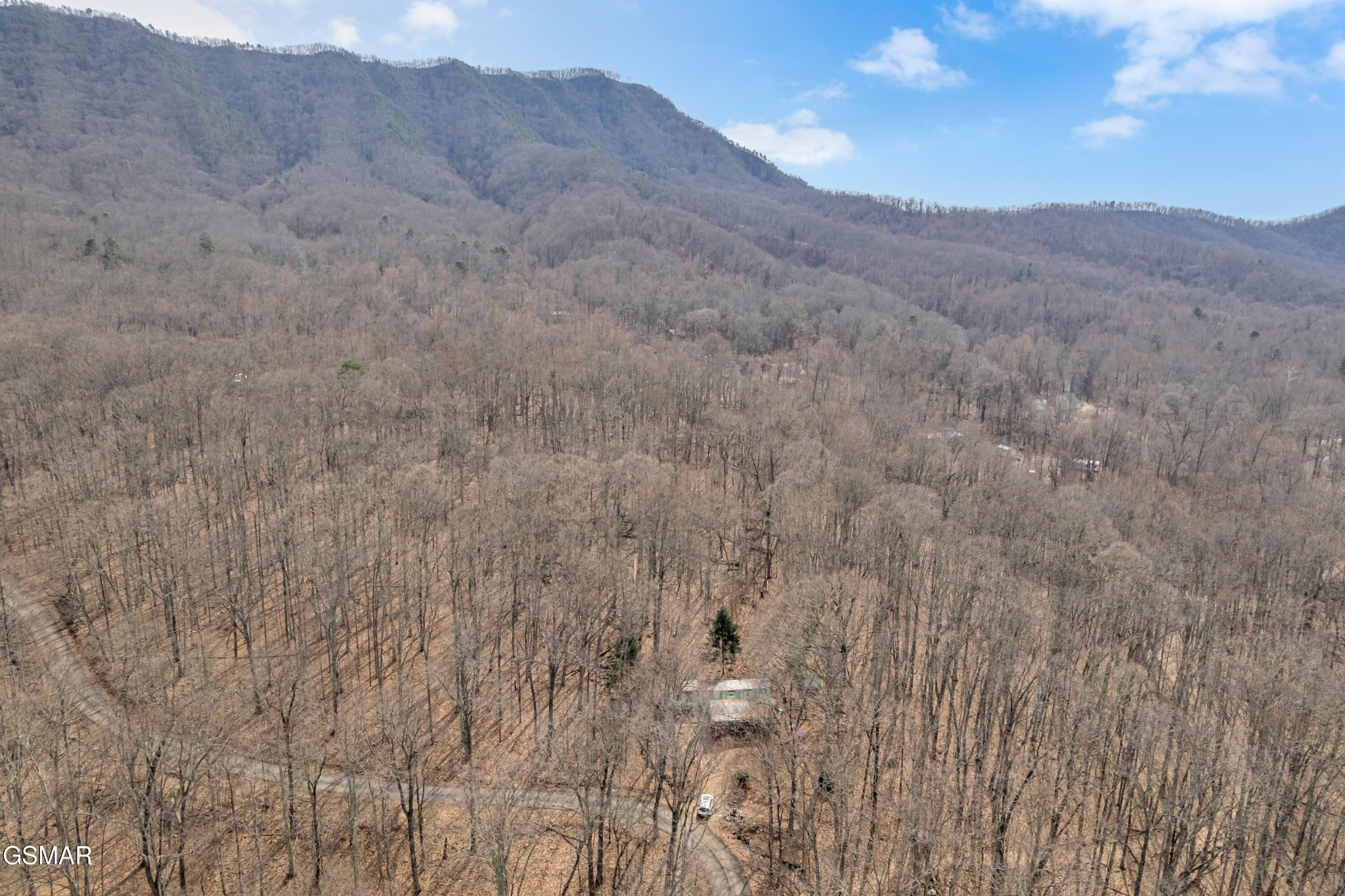 3696 Collier Loop Dandridge, TN 37725 - Photo 4 of 6 Gallery Image 4