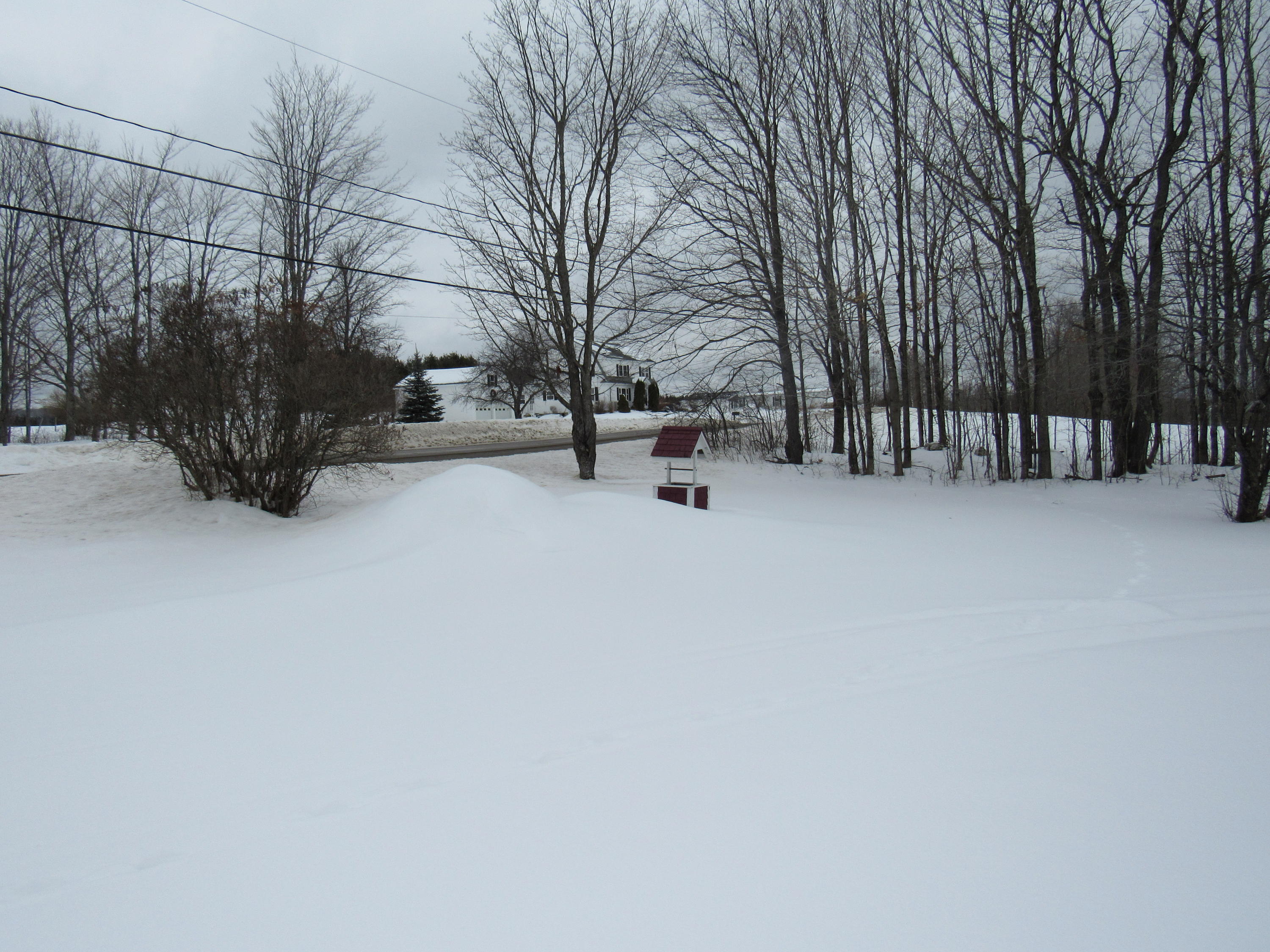 294 Benedicta Road Sherman, ME 04776 - Photo 41 of 47 IMG_1906