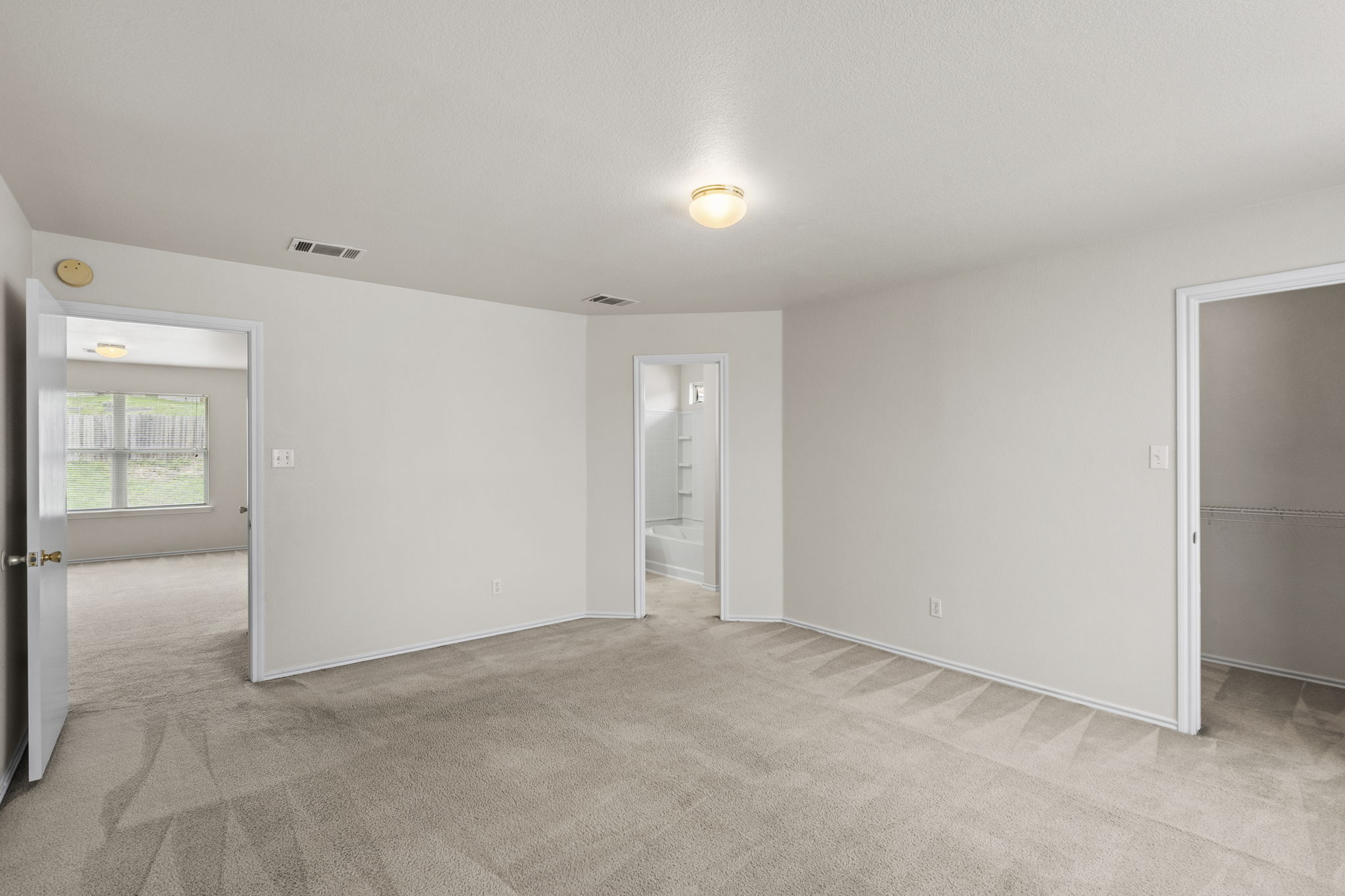 208 Dandelion Loop Kyle, TX 78640 - Photo 23 of 39 Primary bedroom with ensuite and walk-in closet