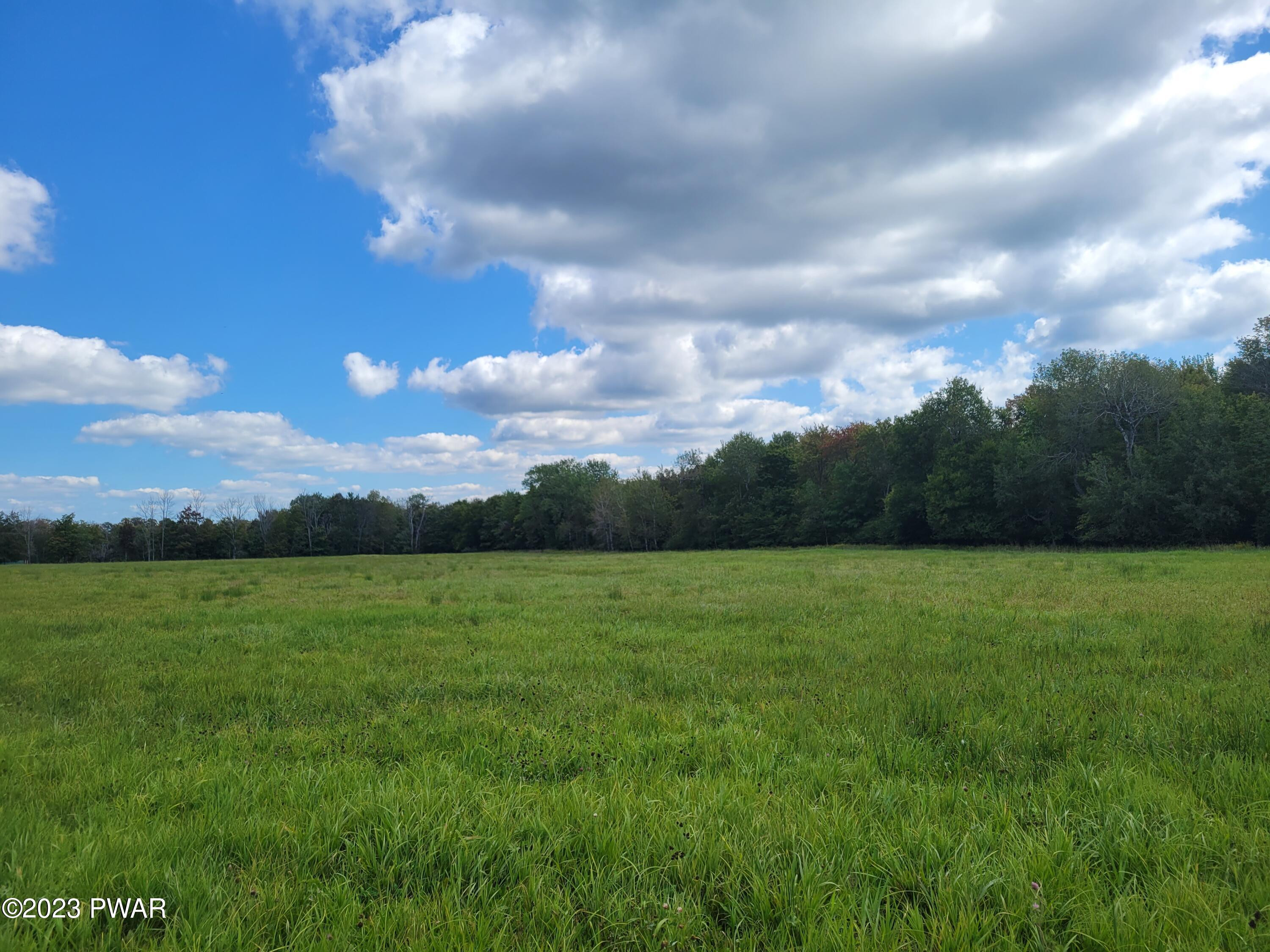 North Road Pleasant Mount, PA 18453 - Photo 2 of 5