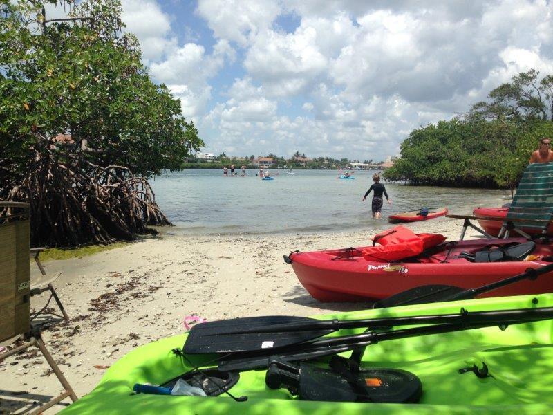 72 Waterway Road Jupiter, FL 33469 - Photo 51 of 57 a swimming pool with trees in the background
