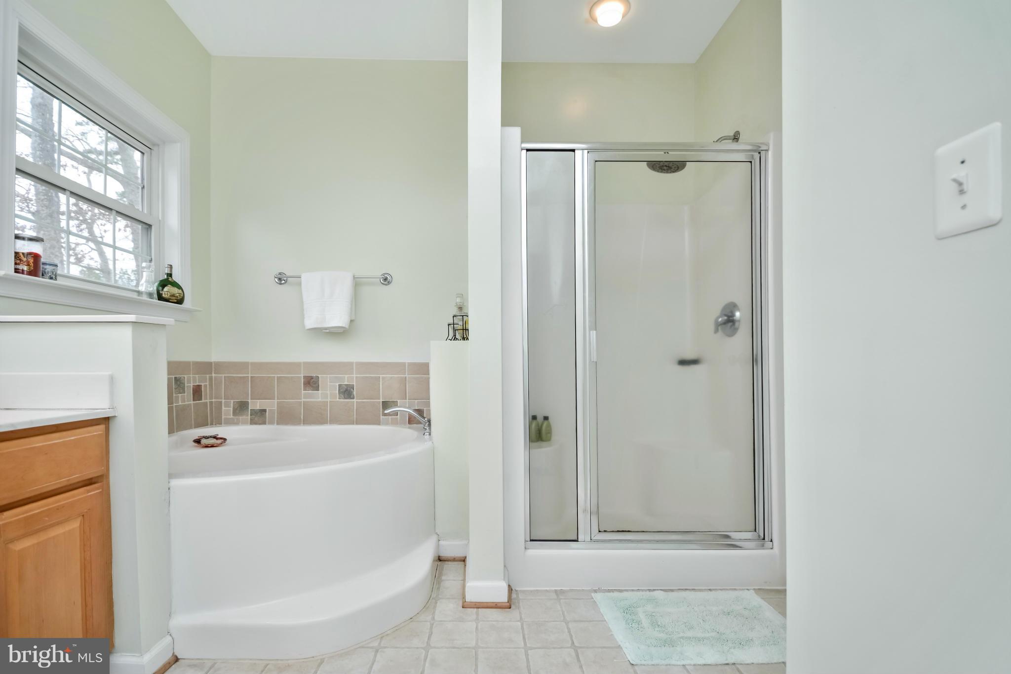 13283 Kendall Road Orange, VA 22960 - Photo 18 of 26 Bath (Master)