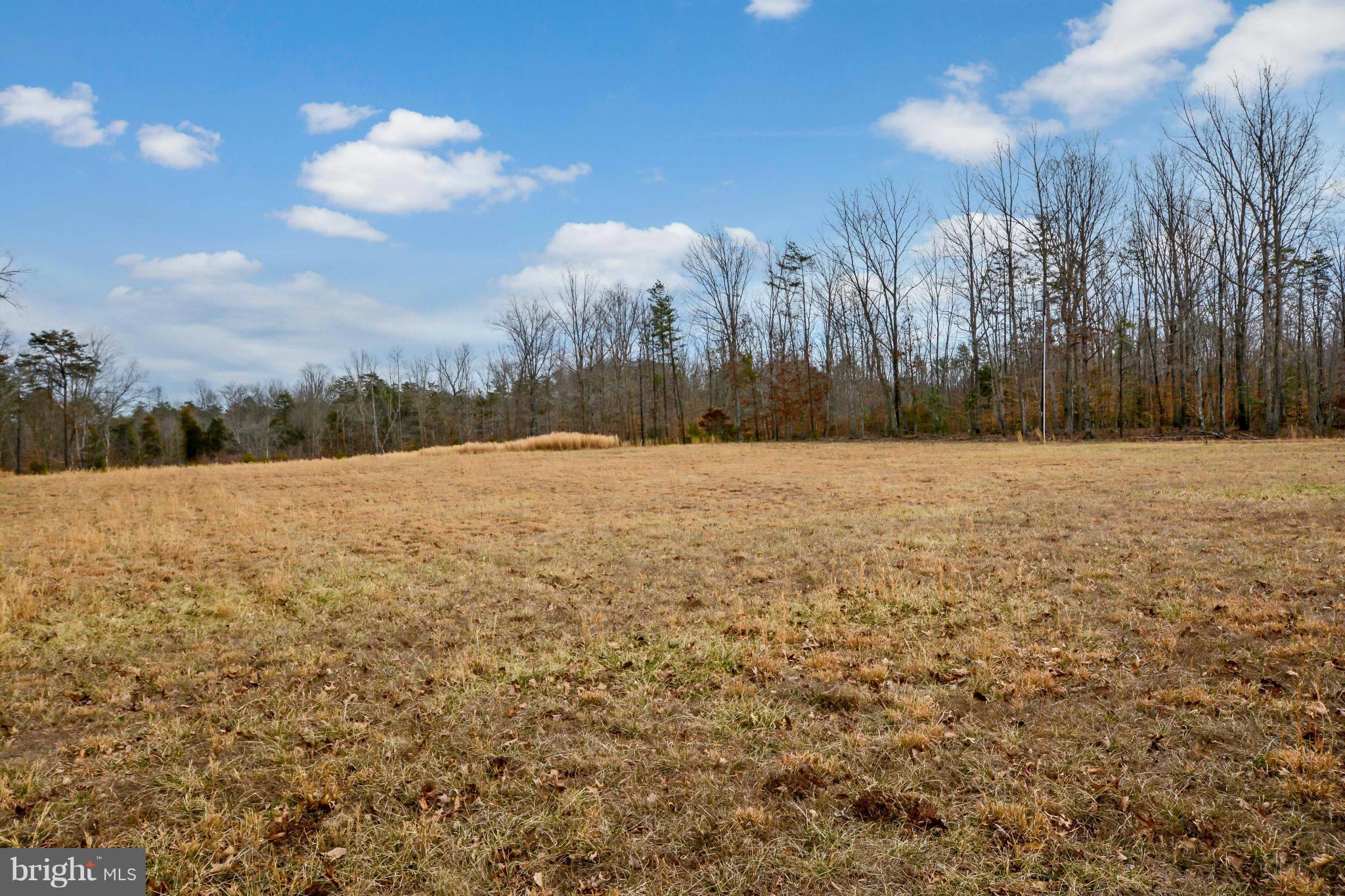 13283 Kendall Road Orange, VA 22960 - Photo 25 of 26 Exterior (Rear)