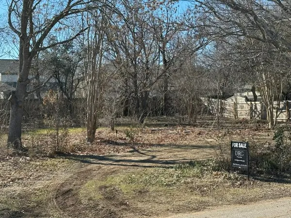 a view of a backyard with trees