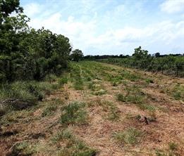 0 Cr-595 Angleton, TX 77515 - Photo 3 of 5 a view of a lake with houses in back