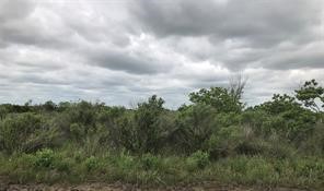0 Cr-595 Angleton, TX 77515 - Photo 4 of 5 a view of a lot of trees