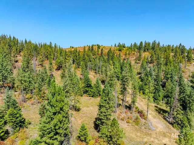 $219,000 | 2 Starview Lane, Princeton, ID 83857