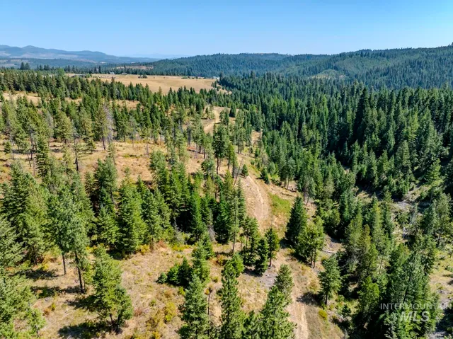$219,000 | 2 Starview Lane, Princeton, ID 83857