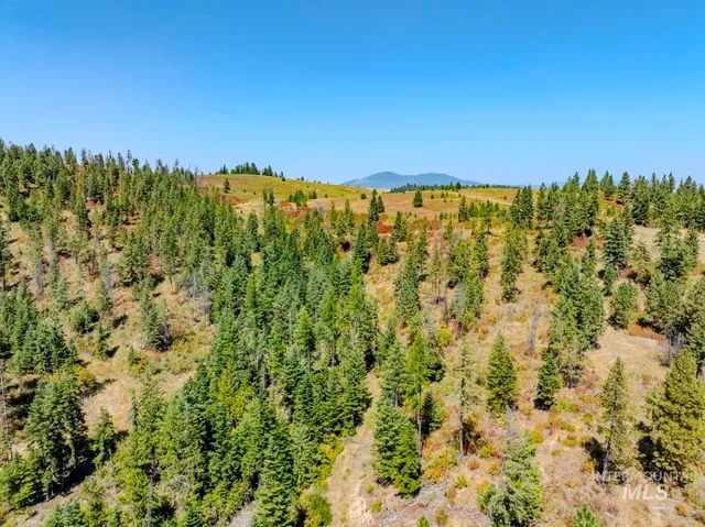 $219,000 | 2 Starview Lane, Princeton, ID 83857