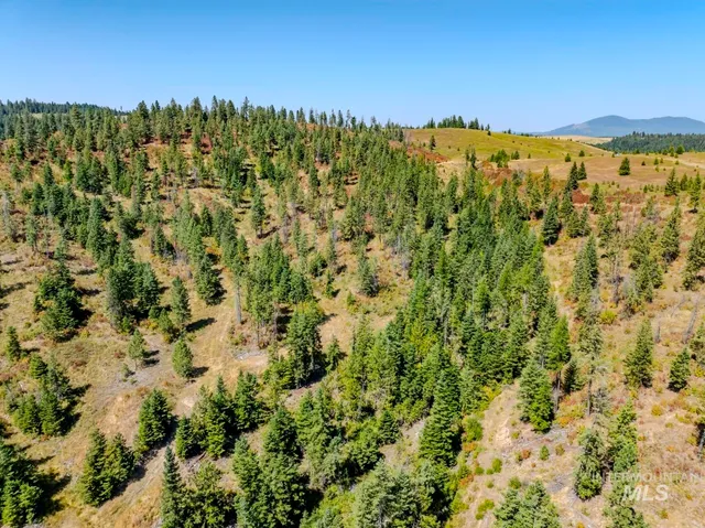 $219,000 | 2 Starview Lane, Princeton, ID 83857