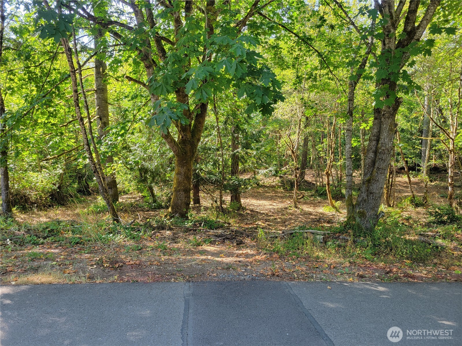 a backyard of a house with lots of green space