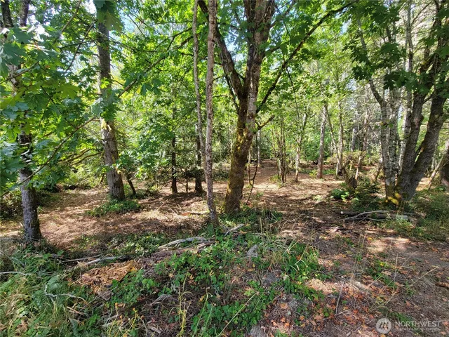 a view of outdoor space and trees