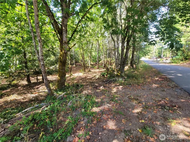 a view of outdoor space and trees