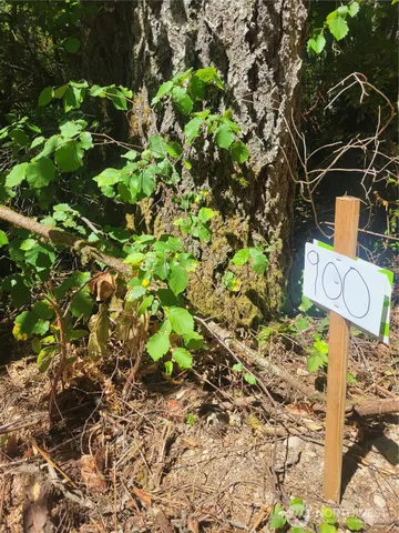 a street sign that is on a tree