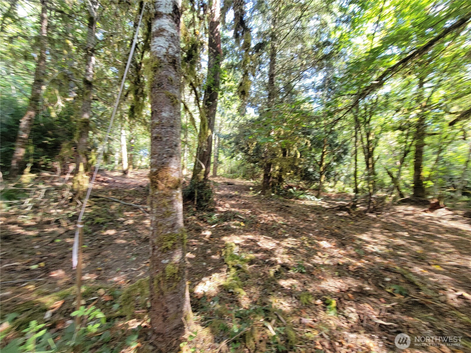 900 East Wilson Way Grapeview, WA 98546 - Photo 20 of 24 a view of outdoor space and yard